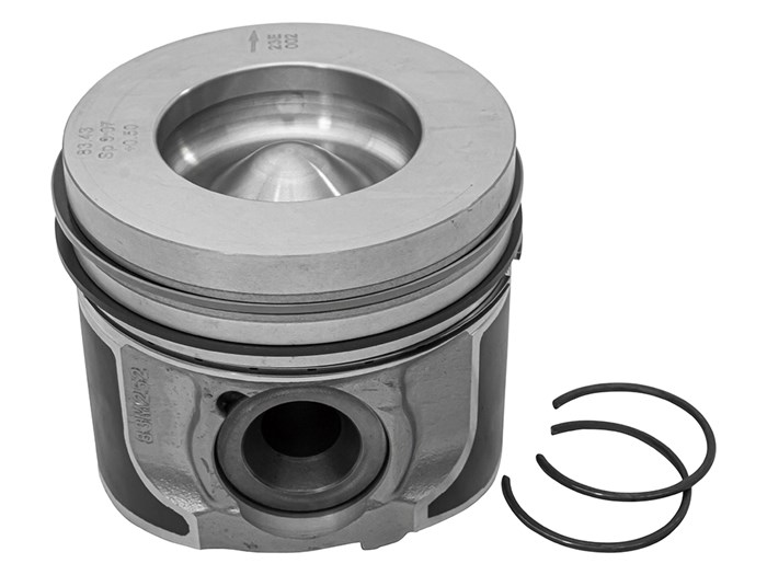 Piston & Ring Set<br /><br />