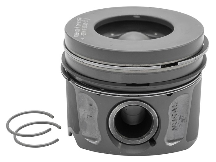 Piston & Ring Set<br /><br />