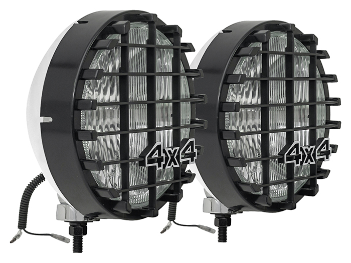 8" Light   100 Watt