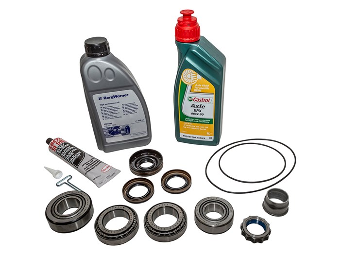 OEM Full Rear Diff Pinion Bearing Overhaul Kit<br /><br />