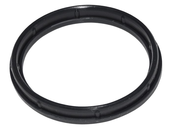 manifold inlet seal