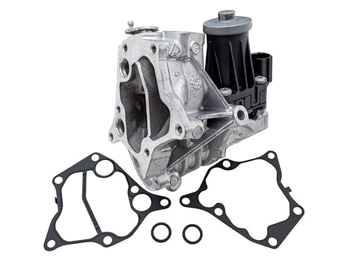 egr valve and gaskets